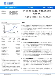 2024年三季报点评:公司业绩保持快速增长,有望受益国内电网建设高景气