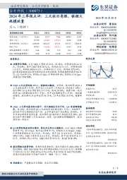 2024年三季报点评:三元依旧亮眼,铁锂大规模放量