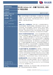 存量产品仍存压，期待25年新品周期