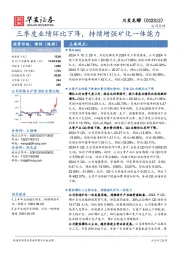 三季度业绩环比下降,持续增强矿化一体能力