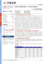 公司信息更新报告:2024Q3业绩同比高增,产品布局日益完善