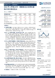 2024年三季报点评:碳酸锂成本优势显著,铜矿盈利维持高位