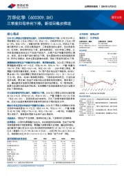 三季度归母净利下滑,新项目稳步推进