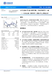 2024年三季报点评:公司2024年Q3利润平稳,外延并购再下一城