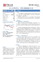 收入短期承压，期待2024Q4改善