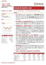经营稳健增长,坚持科技创新和国际化发展