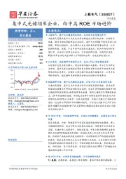 集中式光储领军企业，向中高ROE市场进阶