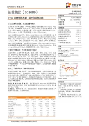24Q3业绩同比高增，国际化进程加速