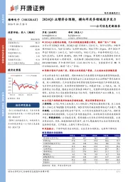 公司信息更新报告:2024Q3业绩符合预期,横向布局多领域逐步发力