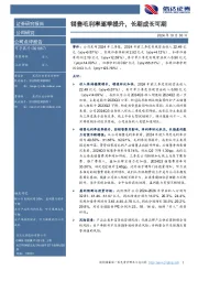 销售毛利率逐季提升，长期成长可期