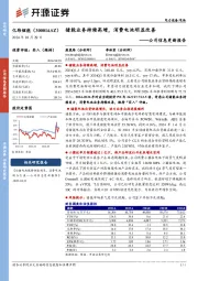 公司信息更新报告:储能业务持续高增,消费电池明显改善