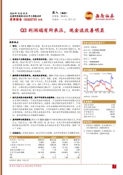 2024年三季报点评：Q3利润端有所承压，现金流改善明显
