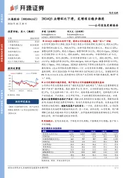 公司信息更新报告:2024Q3业绩环比下滑,定增项目稳步推进