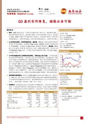 2024年三季报点评：Q3盈利有所修复，储能业务可期