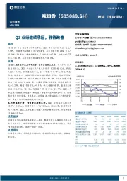 Q3业绩继续承压，静待改善