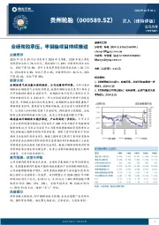 业绩阶段承压，半钢胎项目持续推进