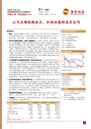 2024年三季报点评：公司业绩短期承压，积极拓展新成长空间