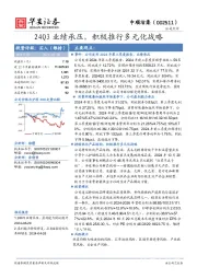 24Q3业绩承压,积极推行多元化战略