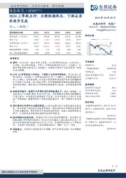 2024三季报点评:业绩短期承压,下游去库存逐步见底