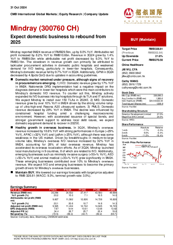 Expect domestic business to rebound from 2025