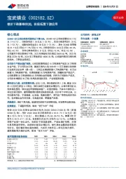 镁价下跌影响利润，积极拓展下游应用