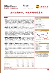 2024年三季报点评：盈利短期承压，加速布局海外基地