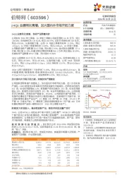 24Q3业绩同比高增，加大国内外市场开拓力度