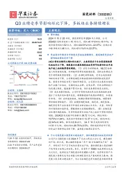 Q3业绩受季节影响环比下降，多板块业务持续增长