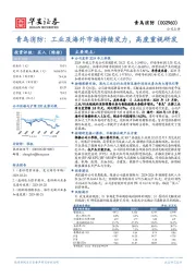 青鸟消防:工业及海外市场持续发力,高度重视研发