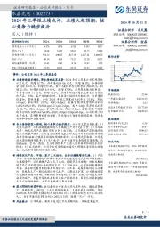 2024年三季报业绩点评:业绩大超预期,核心竞争力稳步提升