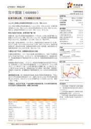 检修拖累业绩,不改稳健成长趋势