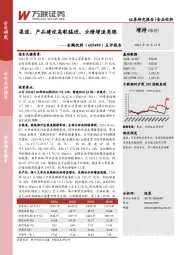 点评报告:渠道、产品建设高歌猛进,业绩增速亮眼