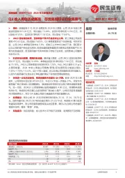 2024年三季报点评:Q3收入再创历史新高,存货高增印证行业高景气
