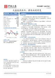 大盘表现承压,静待业绩修复