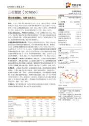 营收稳健增长,全球布局深化