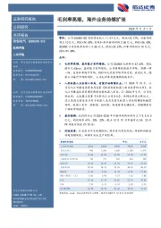 毛利率亮眼，海外业务持续扩张