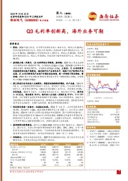 2024年三季报点评：Q3毛利率创新高，海外业务可期