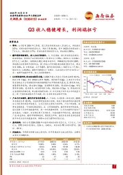 Q3收入稳健增长，利润端扭亏