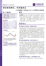 公司事件点评报告:营收保持增长,利润端承压