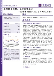 公司事件点评报告:业绩符合预期,保持战略定力