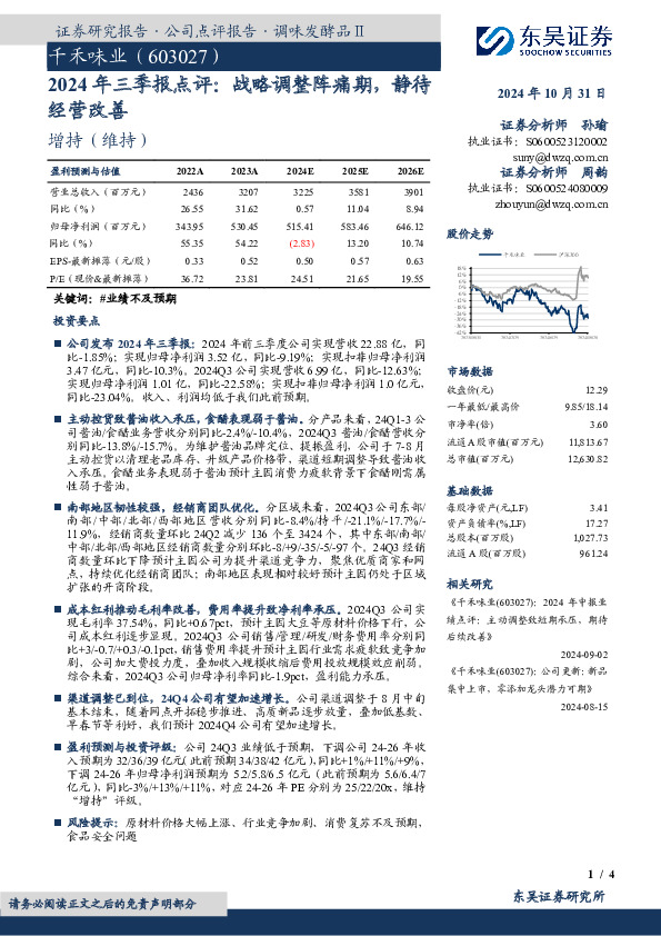 2024年三季报点评：战略调整阵痛期，静待经营改善