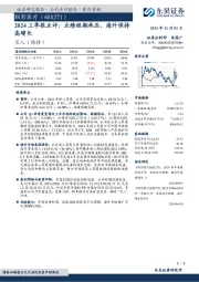 2024三季报点评:业绩短期承压,海外保持高增长