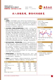 收入持续高增,静待利润端修复
