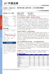 公司信息更新报告:海外国内海工边际向好,公司出海优势稳固
