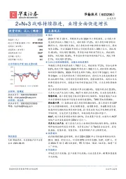 2+N+3战略持续推进,业绩全面快速增长