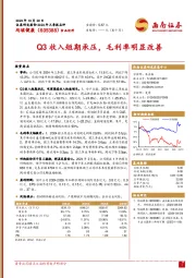 Q3收入短期承压，毛利率明显改善