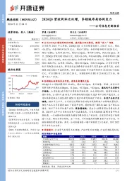公司信息更新报告:2024Q3营收同环比双增,多领域布局协同发力