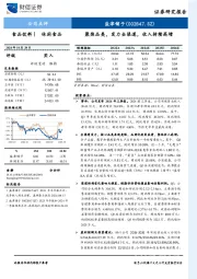 聚焦品类,发力全渠道,收入持续高增