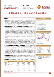 2024年三季报点评:盈利快速增长,塞尔维亚产能加速释放