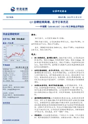 2024年三季报点评报告:Q3业绩延续高增,在手订单充足